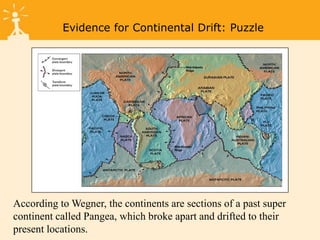 Figure 1-8a Tectonic Plates
Evidence for Continental Drift: Puzzle
According to Wegner, the continents are sections of a past super
continent called Pangea, which broke apart and drifted to their
present locations.
 