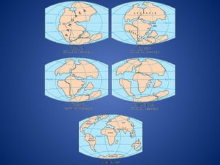 plate Tectonics 2014-2015 powerpoint presentation | PPTX