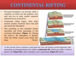 • Divergent boundaries can develop within a
continent, in which case the landmass may
split into two or more smaller segments
separated by an ocean basin.
• Continental rifting begins when plate
motions produce tensional forces that pull
and stretch the lithosphere.
• This stretching, in turn, promotes mantle
upwelling and broad upwarping of the
overlying lithosphere (Figure A). During
this process, the lithosphere is thinned,
while the brittle crustal rocks break into
large blocks.
• As the tectonic forces continue to pull apart the crust, the broken crustal fragments sink,
generating an elongated depression called a continental rift, which can widen to form a
narrow sea (Figure B,C) and eventually a new ocean basin (Figure D) blocks.
 