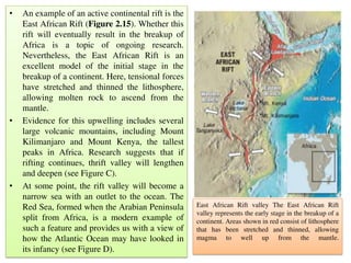 • An example of an active continental rift is the
East African Rift (Figure 2.15). Whether this
rift will eventually result in the breakup of
Africa is a topic of ongoing research.
Nevertheless, the East African Rift is an
excellent model of the initial stage in the
breakup of a continent. Here, tensional forces
have stretched and thinned the lithosphere,
allowing molten rock to ascend from the
mantle.
• Evidence for this upwelling includes several
large volcanic mountains, including Mount
Kilimanjaro and Mount Kenya, the tallest
peaks in Africa. Research suggests that if
rifting continues, thrift valley will lengthen
and deepen (see Figure C).
• At some point, the rift valley will become a
narrow sea with an outlet to the ocean. The
Red Sea, formed when the Arabian Peninsula
split from Africa, is a modern example of
such a feature and provides us with a view of
how the Atlantic Ocean may have looked in
its infancy (see Figure D).
East African Rift valley The East African Rift
valley represents the early stage in the breakup of a
continent. Areas shown in red consist of lithosphere
that has been stretched and thinned, allowing
magma to well up from the mantle.
 