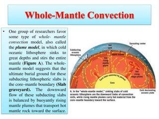• One group of researchers favor
some type of whole- mantle
convection model, also called
the plume model, in which cold
oceanic lithosphere sinks to
great depths and stirs the entire
mantle (Figure A). The whole-
mantle model suggests that the
ultimate burial ground for these
subducting lithospheric slabs is
the core–mantle boundary (Slab
graveyard). The downward
flow of these subducting slabs
is balanced by buoyantly rising
mantle plumes that transport hot
mantle rock toward the surface.
 