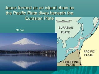 Japan formed as an island chain asJapan formed as an island chain as
the Pacific Plate dives beneath thethe Pacific Plate dives beneath the
Eurasian PlateEurasian Plate
Mt Fuji
 