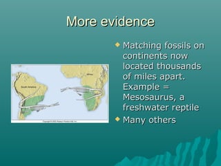 More evidenceMore evidence
 Matching fossils onMatching fossils on
continents nowcontinents now
located thousandslocated thousands
of miles apart.of miles apart.
Example =Example =
Mesosaurus, aMesosaurus, a
freshwater reptilefreshwater reptile
 Many othersMany others
 