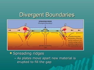  Spreading ridgesSpreading ridges
– As plates move apart new material isAs plates move apart new material is
erupted to fill the gaperupted to fill the gap
Divergent BoundariesDivergent Boundaries
 
