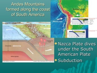 Andes MountainsAndes Mountains
formed along the coastformed along the coast
of South Americaof South America
 Nazca Plate divesNazca Plate dives
under the Southunder the South
American PlateAmerican Plate
 SubductionSubduction
 