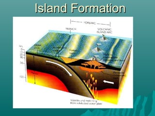 Island FormationIsland Formation
 
