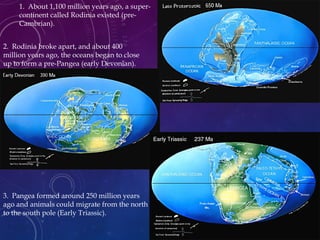 1. About 1,100 million years ago, a super-
continent called Rodinia existed (pre-
Cambrian).
2. Rodinia broke apart, and about 400
million years ago, the oceans began to close
up to form a pre-Pangea (early Devonian).
3. Pangea formed around 250 million years
ago and animals could migrate from the north
to the south pole (Early Triassic).
 