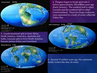 5. Gondwananland split to form Africa,
South America, Antarctica, Australia and
India. Laurasia split to form North America,
Eurasia (minus India) and Greenland.
4. Pangaea began to break apart into 2
halves approximately 200 million years ago
(Early Jurassic). The northern half is called
Laurasia and the southern half is called
Gondwanaland. These two huge continents
were separated by a body of water called the
Tethys Sea.
6. Around 15 million years ago, the continents
finally looked like they do today
 