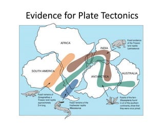 Plate Tectonics II