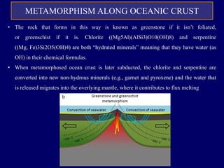 METAMORPHISM ALONG OCEANIC CRUST
• The rock that forms in this way is known as greenstone if it isn’t foliated,
or greenschist if it is. Chlorite ((Mg5Al)(AlSi3)O10(OH)8) and serpentine
((Mg, Fe)3Si2O5(OH)4) are both “hydrated minerals” meaning that they have water (as
OH) in their chemical formulas.
• When metamorphosed ocean crust is later subducted, the chlorite and serpentine are
converted into new non-hydrous minerals (e.g., garnet and pyroxene) and the water that
is released migrates into the overlying mantle, where it contributes to flux melting
 