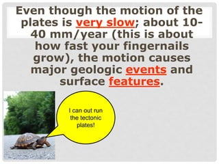 Even though the motion of the
plates is very slow; about 10-
40 mm/year (this is about
how fast your fingernails
grow), the motion causes
major geologic events and
surface features.
I can out run
the tectonic
plates!
 