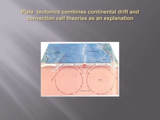 Plate  tectonics combines continental drift and convection cell theories as an explanation