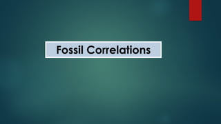 Fossil Correlations
 
