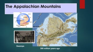 The Appalachian Mountains
Swamps
300 million years ago
 
