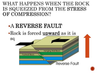 A REVERSE FAULT
Rock is forced upward as it is
squeezed.
 