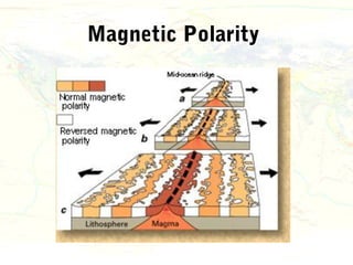 Magnetic Polarity
 