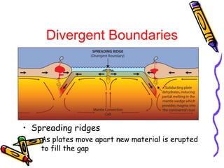 • Spreading ridges
– As plates move apart new material is erupted
to fill the gap
Divergent Boundaries
 