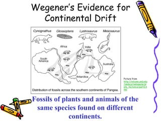 Wegener’s Evidence for
Continental Drift
Fossils of plants and animals of the
same species found on different
continents.
Picture from
http://volcano.und.edu
/vwdocs/vwlessons/pl
ate_tectonics/part3.h
tml
 