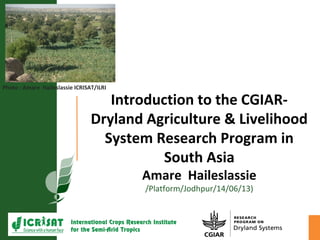 Introduction to the CGIAR-
Dryland Agriculture & Livelihood
System Research Program in
South Asia
Amare Haileslassie
/Platform/Jodhpur/14/06/13)
Photo : Amare Haileslassie ICRISAT/ILRI
 