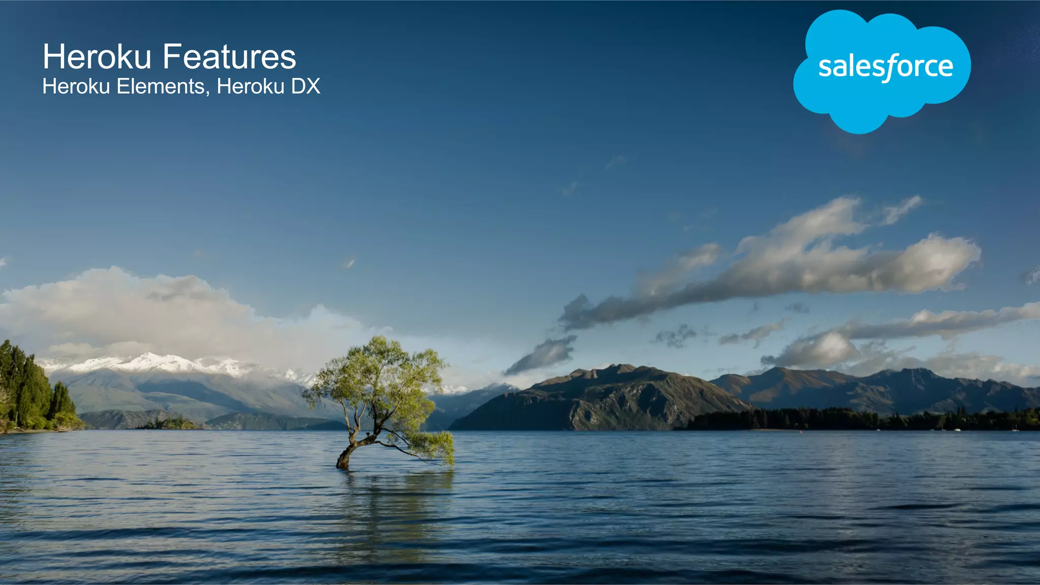 ​ Feature – Heroku Elements
Heroku Features
Heroku Elements, Heroku DX
 