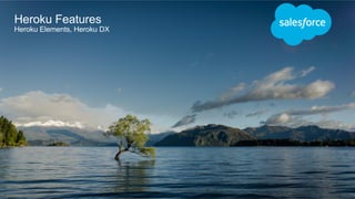 ​ Feature – Heroku Elements
Heroku Features
Heroku Elements, Heroku DX
 