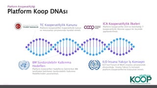Platform Koop DNAsı
Platform ǴǱپçğ
ICA Kooperatifçilik İlkeleri
Platform kooperatifler ICA’nın belirlediği 7
kooperatifçilik ilkesine uygun bir biçimde
yapılandırılmalı.
TC Kooperatifçilik Kanunu
Platform kooperatifleri Koperatifçilik kanun
ve mevzuatlar çerçevesinde hareket etmeli.
BM Sürdürülebilir Kalkınma
Hedefleri
Platform kooeratifleri hedeflerini belirlerken BM
tarafından belirlenen Sürdürülebilir Kalkınma
Hedeflerinden yararlanmalı.
ILO İnsana Yakışır İş Konsepti
ILO’nun Future of Work vizyonu çerçevesinde
oluşturduğu İnsana Yakışır İş konsepti
platform kooperatiflerine kılavuzluk etmeli.
 