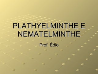 PLATHYELMINTHE E NEMATELMINTHE Prof. Édio 