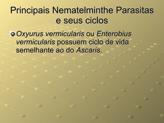 Principais Nematelminthe Parasitas e seus ciclos Oxyurus vermicularis  ou  Enterobius vermicularis  possuem ciclo de vida semelhante ao do  Ascaris . 