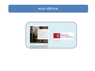 AULA VIRTUAL

 