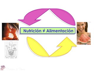 Nutrición = Alimentación
 