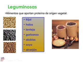 Leguminosas
•Alimentos que aportan proteína de origen vegetal.

              • fríjol
              • haba
              • lenteja
              • garbanzo                 •

              • alubias
              • soya
              • alverjón
 