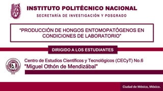 INSTITUTO POLITÉCNICO NACIONAL
SECRETARÍA DE INVESTIGACIÓN Y POSGRADO
Ciudad de México, México.
“PRODUCCIÓN DE HONGOS ENTOMOPATÓGENOS EN
CONDICIONES DE LABORATORIO”
DIRIGIDO A LOS ESTUDIANTES
Centro de Estudios Científicos y Tecnológicos (CECyT) No.6
"Miguel Othón de Mendizábal"
 