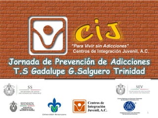 Jornada de Prevención de Adicciones
T.S Gadalupe G.Salguero Trinidad
1
 