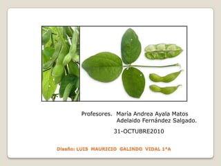 BENEFICIOSReduce azucares en la sangre