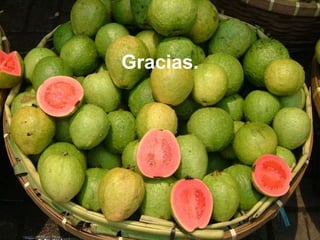 Gracias.
 