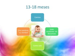 13-18 meses
Camina
Sube
escalones- en
descansos
Come solo
Dice palabras
“ su nombre”
 