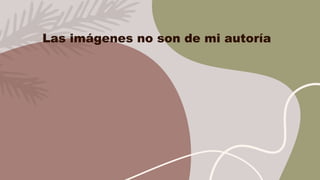 Las imágenes no son de mi autoría
 