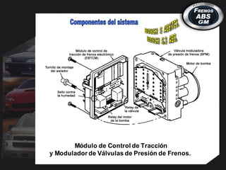 Módulo de Control de Tracción
y Modulador de Válvulas de Presión de Frenos.
 
