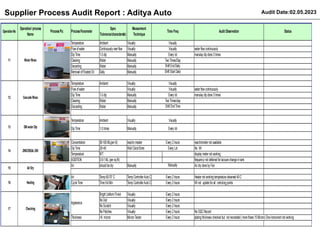 Plating Plant Back Cover Process Audit Report 02 05.2024.pptx