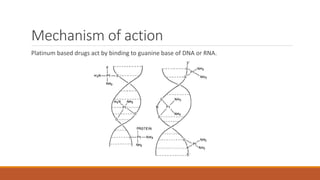 Mechanism of action
Platinum based drugs act by binding to guanine base of DNA or RNA.
 