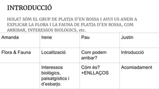 INTRODUCCIÓ
HOLA!! SÓM EL GRUP DE PLATJA D’EN BOSSA I AVUI US ANEM A
EXPLICAR LA FLORA I LA FAUNA DE PLATJA D’EN BOSSA, CO...