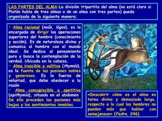 LAS PARTES DEL ALMA:La división tripartita del alma (no está claro si
Platón habla de tres almas o de un alma con tres partes) queda
organizada de la siguiente manera:
• Alma racional (noûs, lógos), es la
encargada de dirigir las operaciones
superiores del hombre (conocimiento
y acción). Es de naturaleza divina y
comunica al hombre con el mundo
ideal. Se dedica al pensamiento
puro y busca la contemplación de la
verdad. Ubicada en la cabeza.
• Alma irascible o volitiva (thymós),
es la fuente de las pasiones nobles
y generosas. Es la fuerza de
voluntad, que debe obedecer a la
razón
• Alma concupiscible o apetitiva
(epithymía), situada en el abdomen
De ella proceden las pasiones más
bajas y los sentimientos innobles.
«Descubrir cómo es el alma es
tarea divina y demasiado larga,
respecto a lo cual los hombres no
pueden más que hablar con
semejanzas» (Fedro, 246)
 