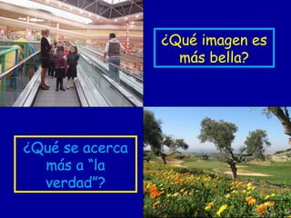 ¿Qué se acerca
más a “la
verdad”?
¿Qué imagen es
más bella?
 