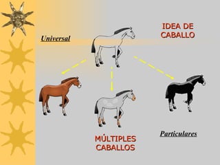 IDEA DE CABALLO MÚLTIPLES CABALLOS Universal Particulares 
