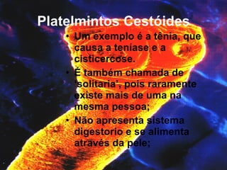 Platelmintos Cestóides Um exemplo é a tênia, que causa a teníase e a cisticercose. É também chamada de ‘solitaria’, pois raramente existe mais de uma na mesma pessoa; Não apresenta sistema digestorio e se alimenta através da pele; 
