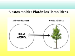 A estos moldes Platón los llamó Ideas
 