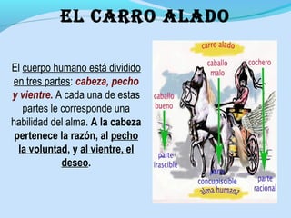 El cuerpo humano está dividido
en tres partes: cabeza, pecho
y vientre. A cada una de estas
partes le corresponde una
habilidad del alma. A la cabeza
pertenece la razón, al pecho
la voluntad, y al vientre, el
deseo.
el cArrO AlADO
 