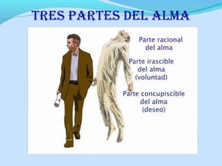 tres pArtes Del AlmA
 