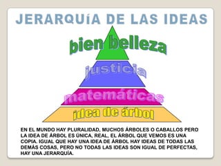 EN EL MUNDO HAY PLURALIDAD, MUCHOS ÁRBOLES O CABALLOS PERO
LA IDEA DE ÁRBOL ES ÚNICA, REAL, EL ÁRBOL QUE VEMOS ES UNA
COPIA. IGUAL QUE HAY UNA IDEA DE ÁRBOL HAY IDEAS DE TODAS LAS
DEMÁS COSAS, PERO NO TODAS LAS IDEAS SON IGUAL DE PERFECTAS,
HAY UNA JERARQUÍA.
 