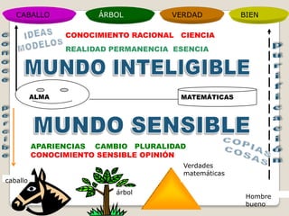 CABALLO             ÁRBOL         VERDAD           BIEN

                 CONOCIMIENTO RACIONAL CIENCIA
                 REALIDAD PERMANENCIA ESENCIA




          ALMA                         MATEMÁTICAS




          APARIENCIAS CAMBIO PLURALIDAD
          CONOCIMIENTO SENSIBLE OPINIÓN
                                        Verdades
                                        matemáticas
caballo
                          árbol
                                                       Hombre
                                                       bueno
 